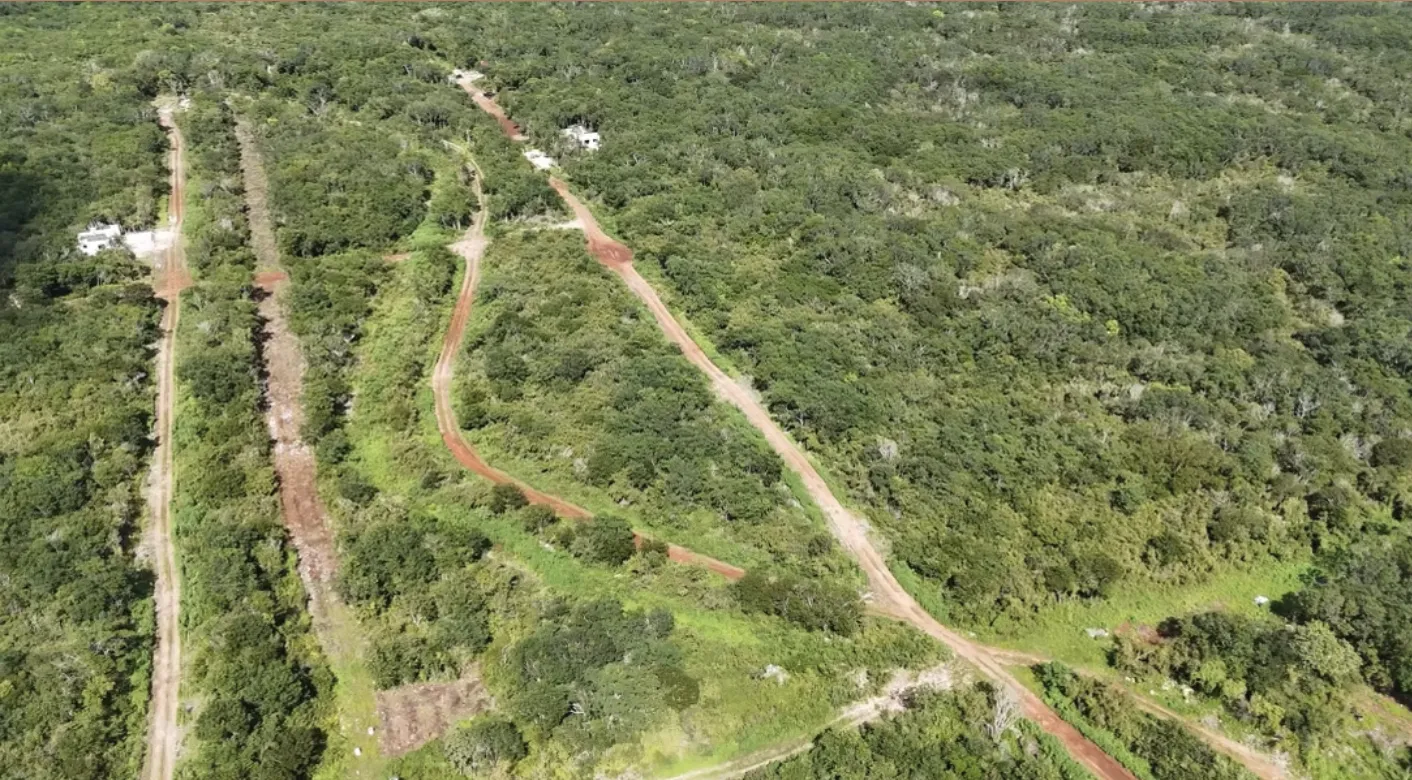 Aerial view of Neek Lu'un regenerative land project